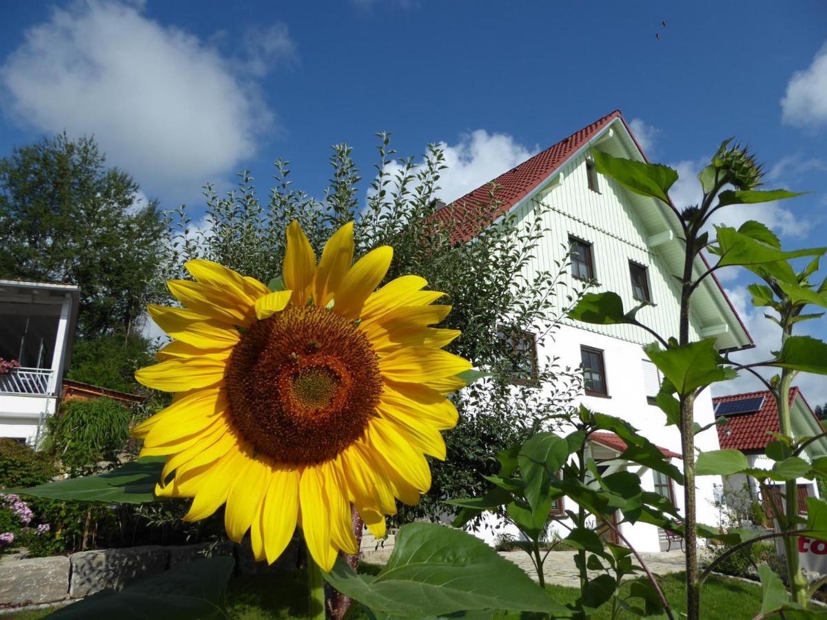 Erholungsraum Karsee - Ferienwohnung Ванген-ім-Алльгой Екстер'єр фото